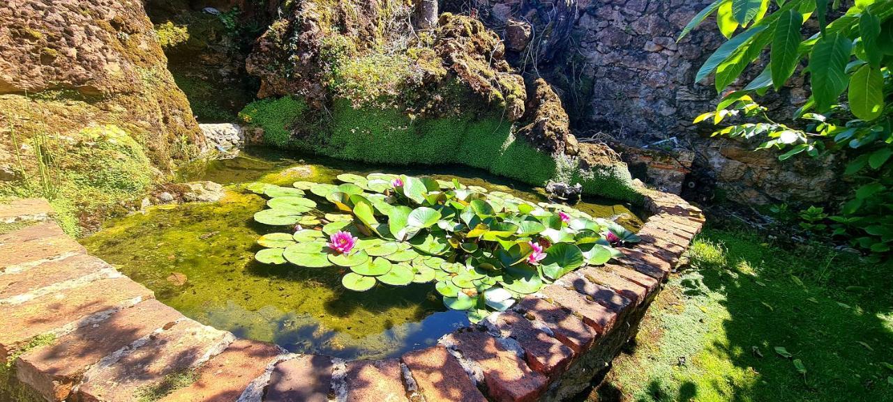 Las Parientucas Novales Bagian luar foto